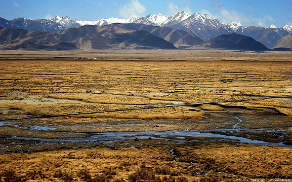 甘孜州-理塘县-理塘海子山国家级自然保护区
