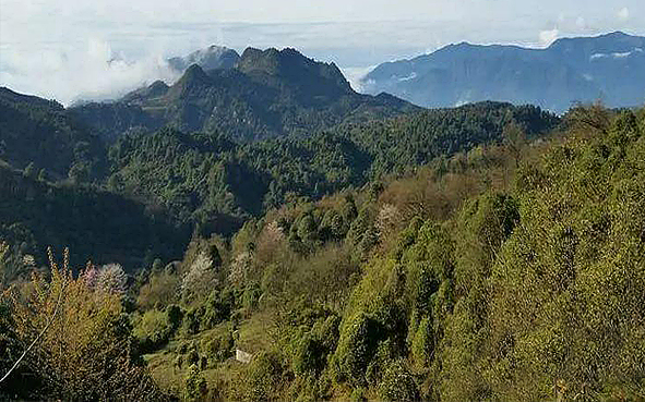 昭通市-大关县-云南乌蒙山（三江口）国家级自然保护区