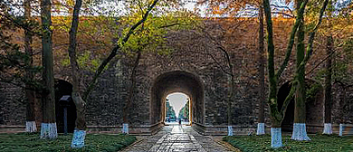 南京市-秦淮区-|明|南京古城墙·午朝门公园