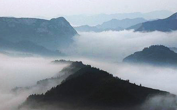 昭通市-威信县-大雪山原始森林自然保护区