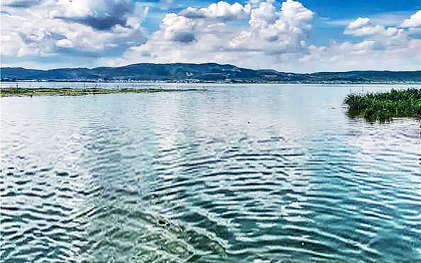 玉溪市-通海县-杞麓湖国家湿地公园