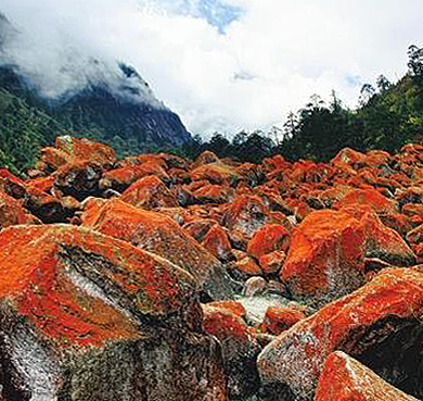 甘孜州-泸定县-新兴乡-贡嘎山·燕子沟（红石滩）风景旅游区 