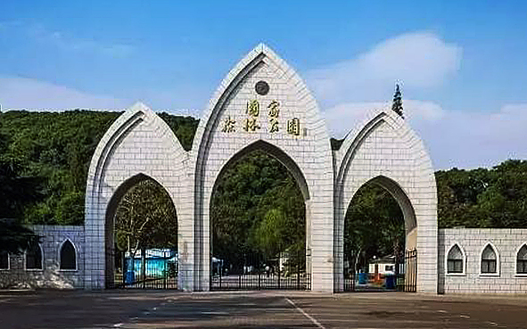 上海市-松江区-佘山国家森林公园·国家旅游度假区|4A