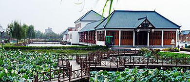 杭州市-临平区-塘栖镇-琵琶湾生态农庄·风景旅游区