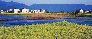 湖州市-吴兴区-长田漾湿地风景区