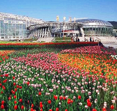 北京市-海淀区-北京植物园（中科院·植物研究所）风景旅游区|4A
