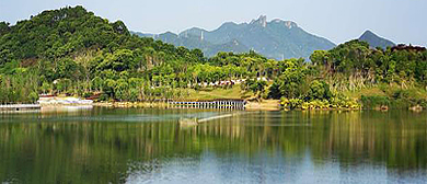 台州市-椒江区-台州植物园