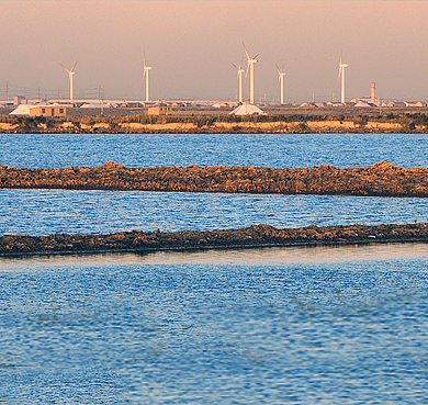 沧州市-海兴县-海兴湿地自然保护区