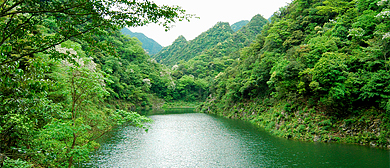 衢州市-衢江区-灰坪乡-千里岗（千里岗游击区革命旧址）风景区