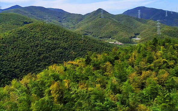 宁波市-海曙区-横街镇-浙东大竹海风景区