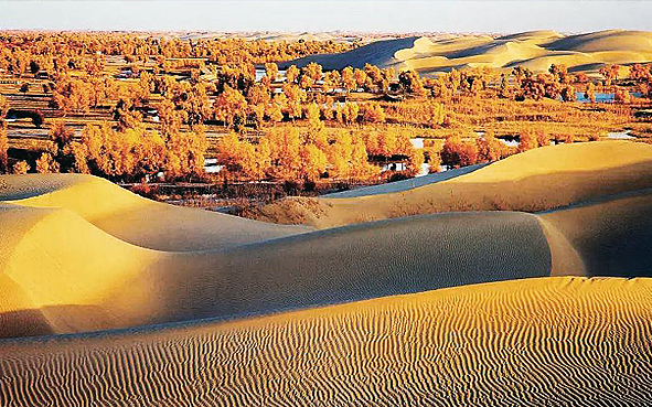 巴音郭楞州-且末县-且末国家沙漠公园（塔克拉玛干沙漠·塔提让胡杨林）风景旅游区