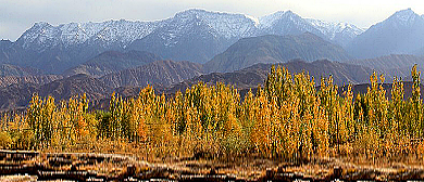 克孜勒苏州-乌恰县-吾合沙鲁乡-高原胡杨风景区