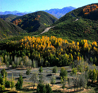 塔城地区-裕民县-巴尔鲁克山·塔斯提风景旅游区