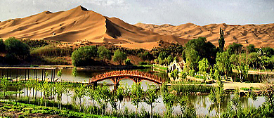 阿勒泰地区-吉木乃县-北沙窝沙漠（植物园）风景区