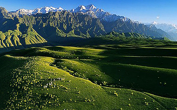 和田地区-策勒县-乌鲁克萨依乡-昆仑山·板兰格（高山草原）风景旅游区|4A