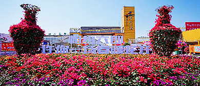 芜湖市-湾沚区-六郎镇-六郎湿地花海·风景旅游区