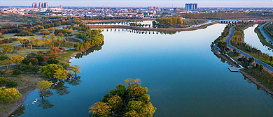 阜阳市-颍上县-慎城镇-五里湖生态湿地·风景旅游区|4A
