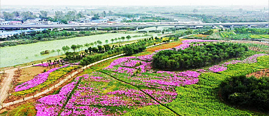 阜阳市-颍泉区-泉水湾国家湿地公园