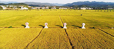 郴州市-安仁县城-永乐江镇-安仁稻田公园·风景旅游区|4A