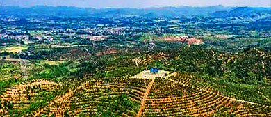 衡阳市-耒阳市-南京镇-南京油茶示范基地