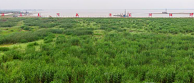 常德市-安乡县-安丰乡-珊珀湖风景区