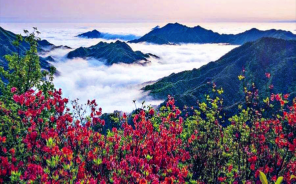 永州市-双牌县-阳明山（十万亩杜鹃花海·阳明山国家森林公园·阳明山国家级自然保护区）风景旅游区|4A