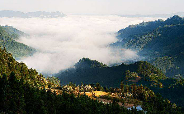 湘西州-古丈县-高望界（1146米）国家级自然保护区