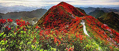 黔东南州-丹寨县-龙泉镇-龙泉山（杜鹃花海）风景旅游区