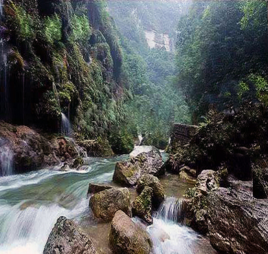 贵阳市-开阳县-龙岗镇-紫江地缝（开阳喀斯特）风景旅游区