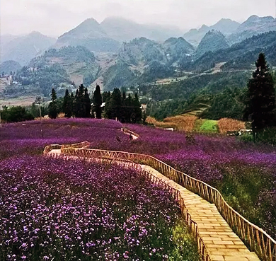 毕节市-赫章县-夜郎国家森林公园