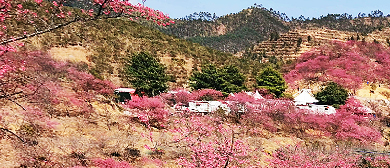 韶关市-新丰县-黄磜镇-樱花峪风景旅游区