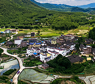 韶关市-新丰县-丰城街道-高桥村