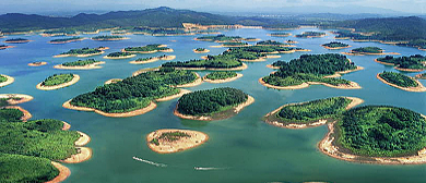 阳江市-阳东区-那龙镇-东湖星岛（东湖水库）风景旅游区