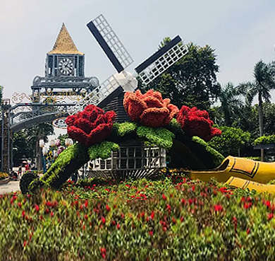 深圳市-南山区-荷兰花卉小镇·风景旅游区