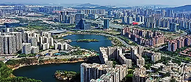 广州市-南沙区-南沙区政府·凤凰湖公园