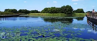 伊春市-嘉荫县-朝阳镇-新发岛湿地风景区