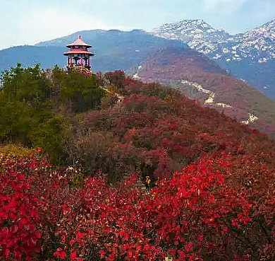 南阳市-桐柏县-高乐山国家级自然保护区