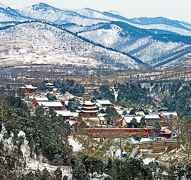 平顶山市-汝州市-风穴寺（|唐-清|风穴寺·塔林）汝州国家森林公园|4A