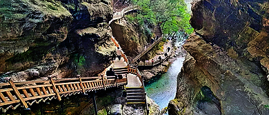 湖北省-神农架林区-木鱼镇-天生桥（巴人部落）风景旅游区|5A
