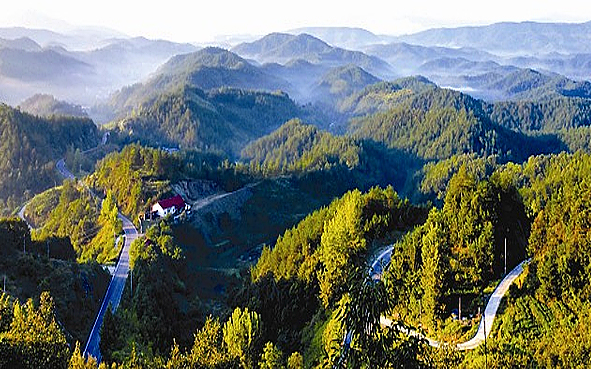 十堰市-郧阳区-沧浪山（林场）国家森林公园