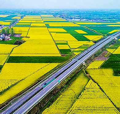 荆州市-江陵县-江陵油菜花海风景旅游区