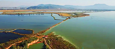 黄石市-阳新县-网湖湿地自然保护区