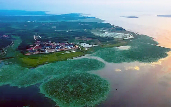 鄂州市-粱子湖区-梁子湖（国家湿地公园）风景旅游区