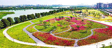 武汉市-东西湖区-径河公园·滨河风景区