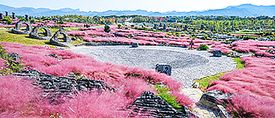 重庆市-酉阳县-板溪镇-扎营村-叠石花谷风景旅游区|4A