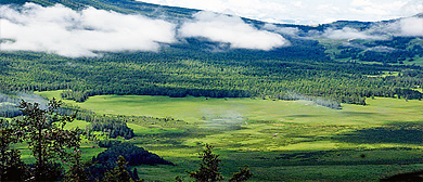 重庆市-黔江区-武陵山·灰千梁子风景区