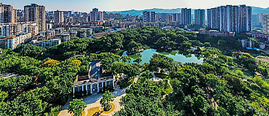 重庆市-沙坪坝区-沙坪公园（文革墓园）