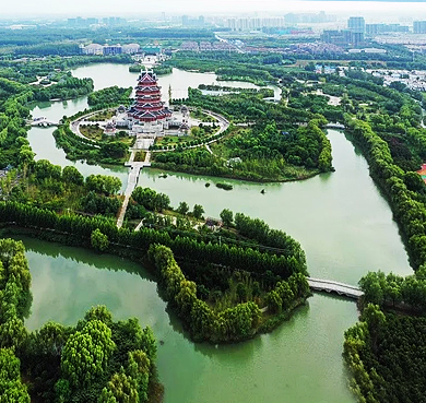 徐州市-邳州市区-沙沟湖水杉湿地公园·世界银杏展览馆（隆欣阁）