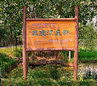 宿迁市-泗阳县-|汉|三庄汉墓群