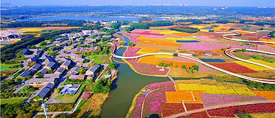 宿迁市-宿豫区-三台山（衲田花海·三台山国家森林公园）风景旅游区|4A